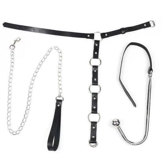EverydayUse and Hook Leash with Anal 5853 Kinky Collar 0629